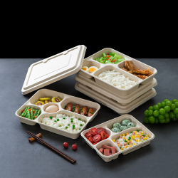 Lunch Box Biodegradable Box Disposable Rectangular American Single Double Grid Pulp Lunch Box Thickened Salad Takeaway